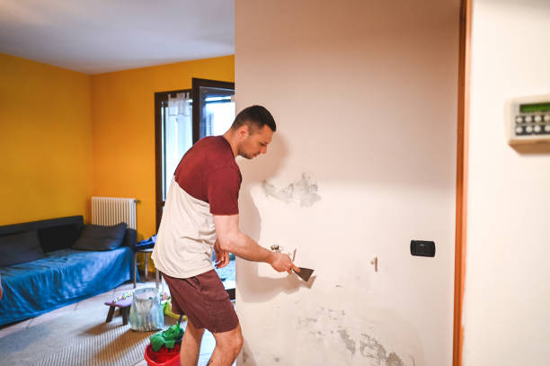 Best Mold Remediation for Schools in St Petersburg, FL